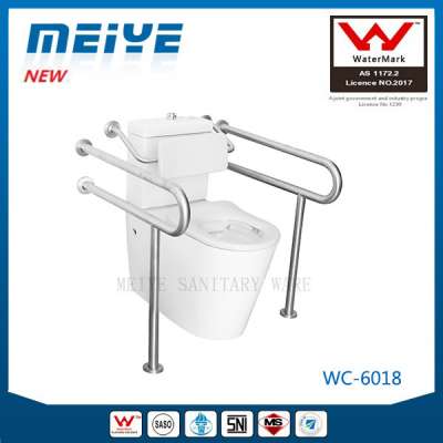 Care Toilet Suite Accessible Disabled Toilet Suite for the Elderly or People with Physical Disabilities Watermark Assist WC Pan